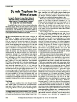 Scrub Typhus in Himalayas