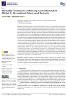Molecular Mechanisms Underlying Neuroinflammation Elicited by Occupational Injuries and Toxicants