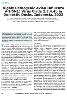 Highly Pathogenic Avian Influenza AH5N1 Virus Clade 2344b in Domestic Ducks Indonesia 2022