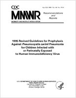 Morbidity and Mortality Weekly Report Recommendations and Reports April 28 1995  Vol 44  No RR4