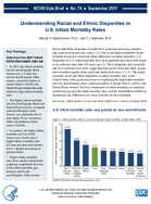 Understanding Racial and Ethnic Disparities in US Infant Mortality Rates