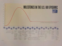 Milestones in the US HIV epidemic