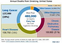 Annual Deaths from Smoking United States 20052009