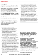 New Genotype of Coxiella burnetii Causing Epizootic Q Fever Outbreak in Rodents Northern Senegal