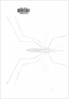 The  Aedes aegypti Eradication Program