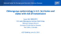 Chikungunya epidemiology in US territories and states with risk of transmission