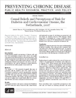 Causal Beliefs and Perceptions of Risk for Diabetes and Cardiovascular Disease the Netherlands 2007