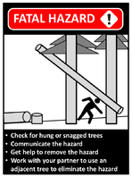 Toolbox Talk Guide Timber Faller Killed While Working Under a Hung Tree Limb