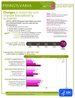 CDC National Survey Maternity Practices in Infant Nutrition and Care mPINC Pennsylvania 2015 Report