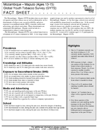 2002 Mozambique  Maputo Ages 1315 Global Youth Tobacco Survey GYTS Fact Sheet