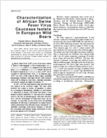 Characterization of African Swine Fever Virus Caucasus Isolate in European Wild Boars