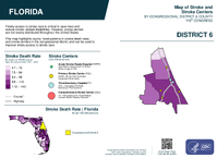 FL Congressional District 06 Stroke and Stroke Centers Map 119th Congress