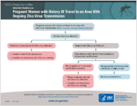 Interim Guidance Pregnant Women with History of Travel to an Area with Ongoing Zika Virus Transmission March 1 2016