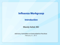 Influenza workgroup  introduction