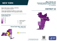 NY Congressional District 22 Stroke and Federally Qualified Health Centers Map 119th Congress