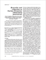 Brucella ceti Infection in Harbor Porpoise Phocoena phocoena