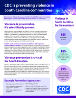 Violence Prevention in South Carolina
