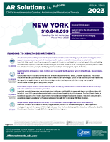 CDCs Investments to Combat Antibiotic Resistance Threats New York Fiscal Year 2023