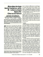 Mycobacterium bovis Isolates with M tuberculosis Specific Characteristics