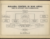 Malaria Control in War Areas lines of authority and interrelations