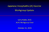 Japanese Encephalitis JE Vaccine Workgroup update