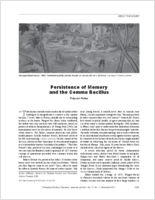 Persistence of Memory and the Comma Bacillus