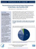Perceived Social and Emotional Support Among Adults United States JulyDecember 2020