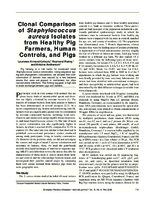 Clonal Comparison of Staphylococcus aureus Isolates from Healthy Pig Farmers Human Controls and Pigs
