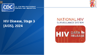 HIV Disease Stage 3 AIDS 2024 Figures