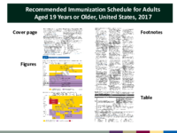 Recommended immunization schedule for adults aged 19 years or older United States 2017