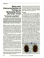 Molecular Characterization of Tickborne Relapsing Fever Borrelia Israel
