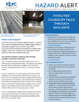 Fatalities Caused by Falls Through Skylights