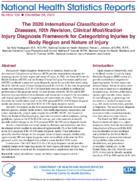 The 2020 International Classification of Diseases 10th Revision Clinical Modification Injury Diagnosis Framework for Categorizing Injuries by Body Region and Nature of Injury
