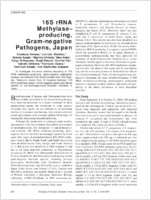 16S rRNA Methylaseproducing GramNegative Pathogens Japan