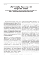 Bartonella henselae in Porpoise Blood