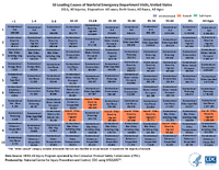 10 Leading Causes of Nonfatal Emergency Department Visits United States  2019 All Injuries Disposition All cases Both Sexes All Races All Ages