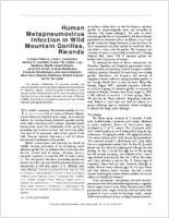 Human Metapneumovirus Infection in Wild Mountain Gorillas Rwanda