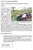 Logger Killed When Struck By Lodged Tree That Fell