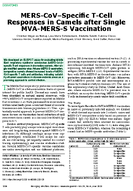 MERSCoVSpecific TCell Responses in Camels after Single MVAMERSS Vaccination