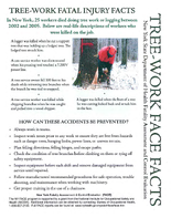 TreeWork FACE Facts