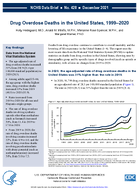 Drug Overdose Deaths in the United States 19992020