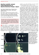 Bacillus subtilis variant natto Bacteremia of Gastrointestinal Origin Japan