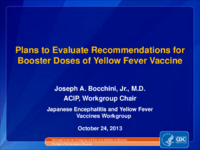 Plans to evaluate recommendations for booster doses of yellow fever vaccine