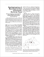 Spoligotyping of Mycobacterium africanum Burkina Faso