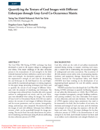 Quantifying the Texture of Coal Images with Different Lithotypes Through GrayLevel CoOccurrence Matrix