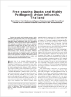 Freegrazing Ducks and Highly Pathogenic Avian Influenza Thailand