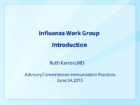 Influenza Work Group introduction