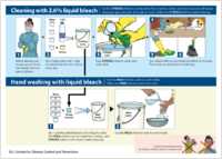 Cleaning with 26 Liquid Bleach Hand Washing with Liquid Bleach