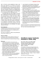 Dirofilaria repens Testicular Infection in Child Italy