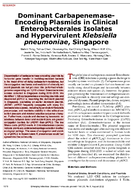 Dominant CarbapenemaseEncoding Plasmids in Clinical Enterobacterales Isolates and Hypervirulent Klebsiella pneumoniae Singapore